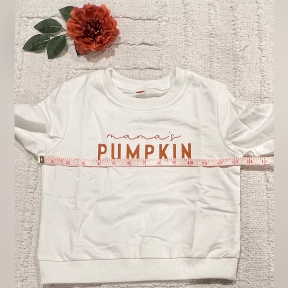 Mama’s Pumpkin Toddler Sweater Pullover- Size 100 (4T/5T) - Picture 2 of 4